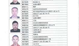 鲁山县最新爆料案件公告,案情揭秘，真相大白！