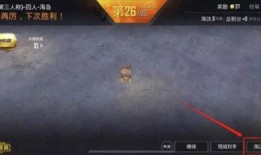 经典版29弹最新爆料,揭秘神秘角色与剧情转折